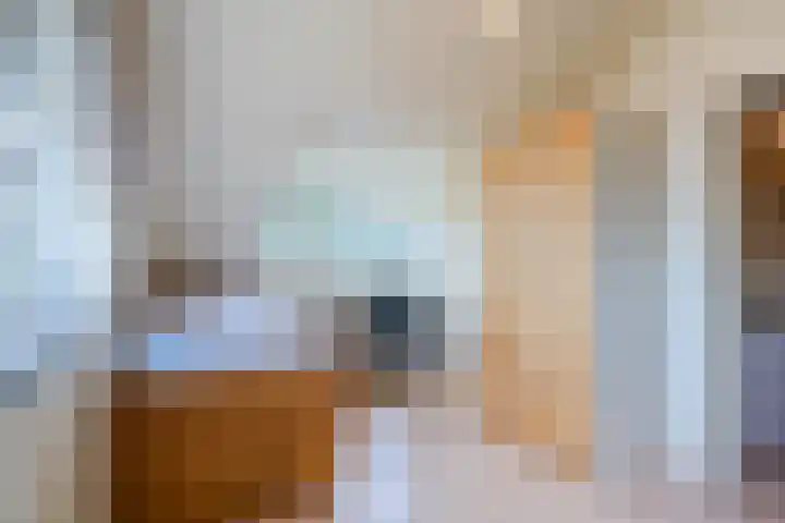Rozelaar 12 Geldrop thumbnail 40