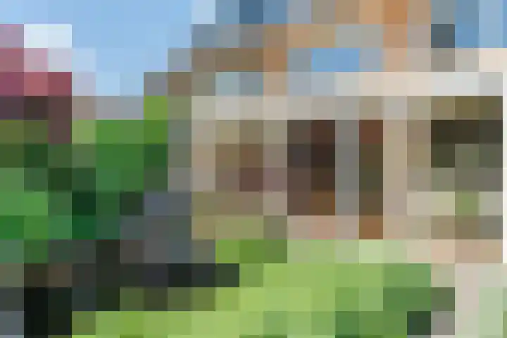 Rozelaar 12 Geldrop thumbnail 44