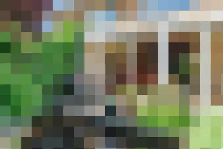 Rozelaar 12 Geldrop thumbnail 45