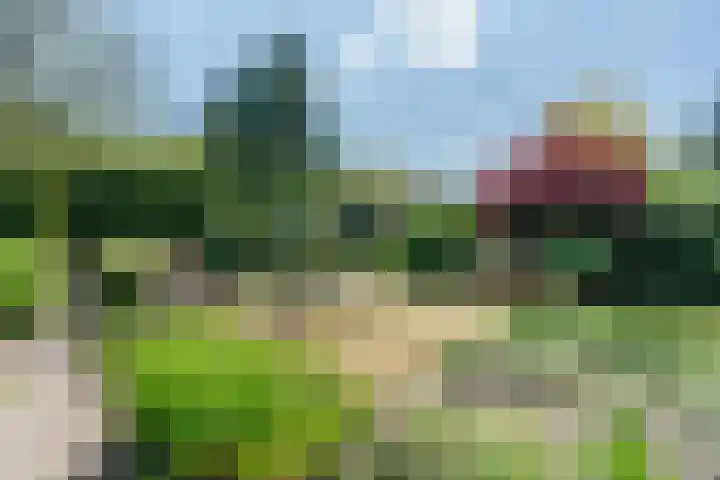 Rozelaar 12 Geldrop thumbnail 46