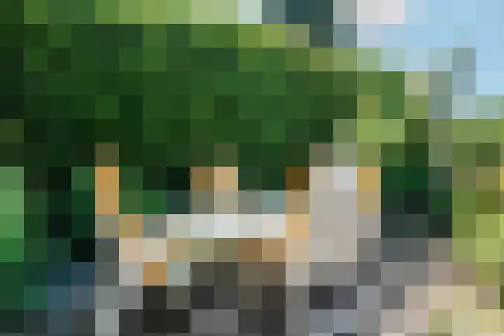 Rozelaar 12 Geldrop thumbnail 47