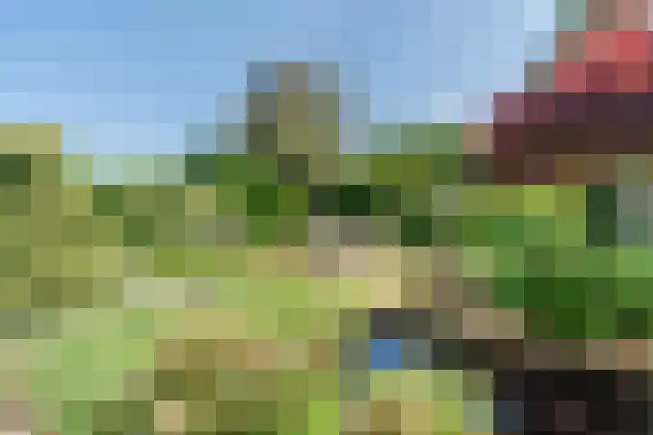 Rozelaar 12 Geldrop thumbnail 48