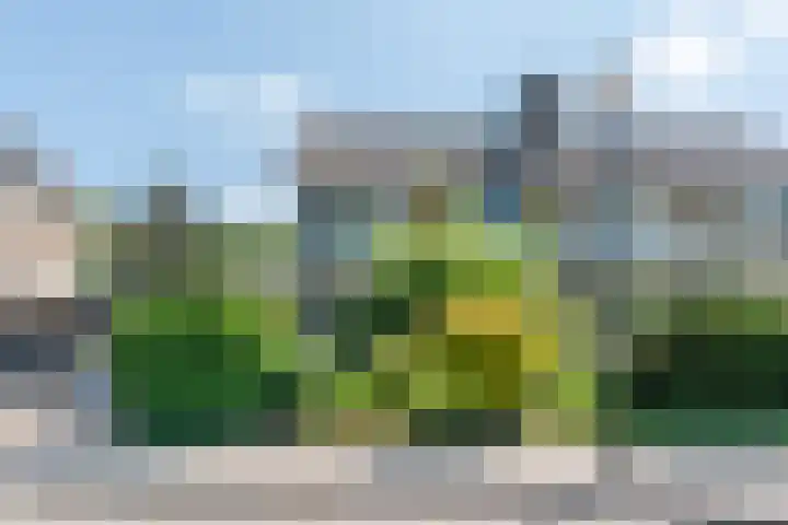 Rozelaar 12 Geldrop thumbnail 49