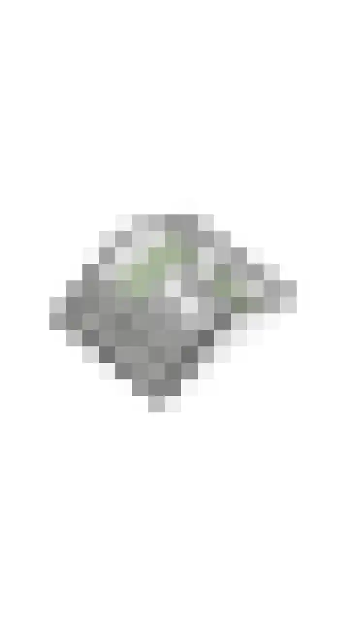 Rozelaar 12 Geldrop thumbnail 58