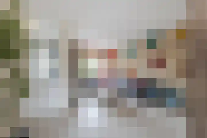 Rozelaar 12 Geldrop thumbnail 6