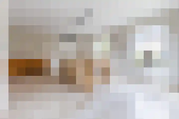 Rozelaar 16 Geldrop thumbnail 11