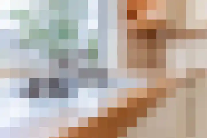 Rozelaar 16 Geldrop thumbnail 16