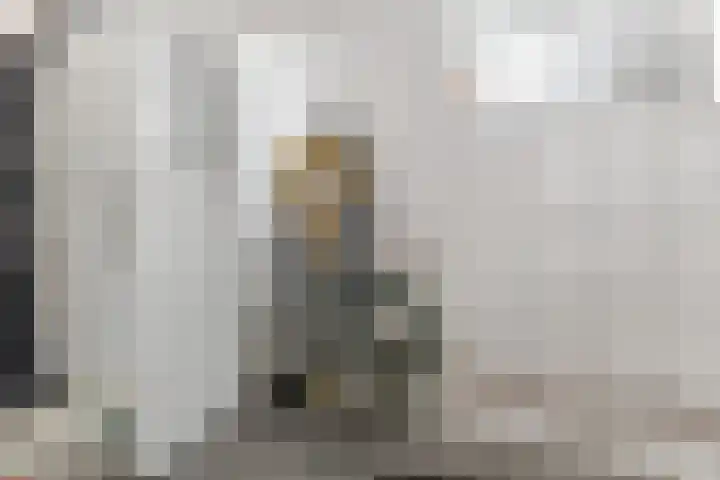 Rozelaar 16 Geldrop thumbnail 17