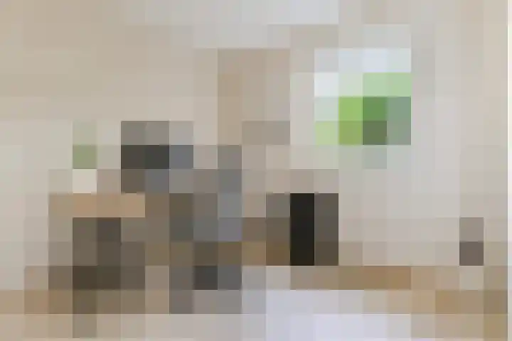 Rozelaar 16 Geldrop thumbnail 24