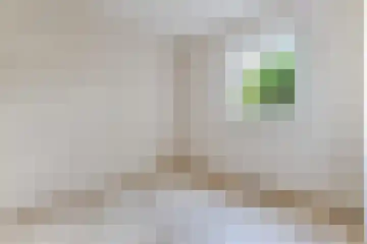 Rozelaar 16 Geldrop thumbnail 25