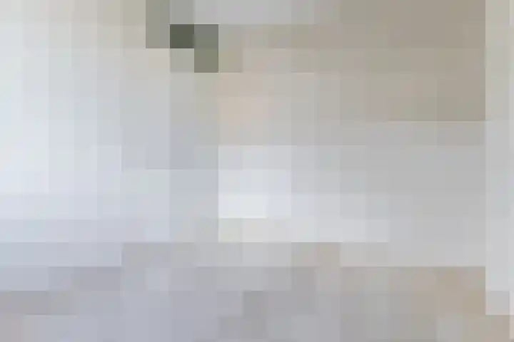 Rozelaar 16 Geldrop thumbnail 26
