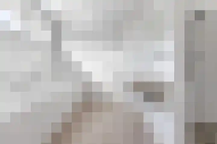 Rozelaar 16 Geldrop thumbnail 27