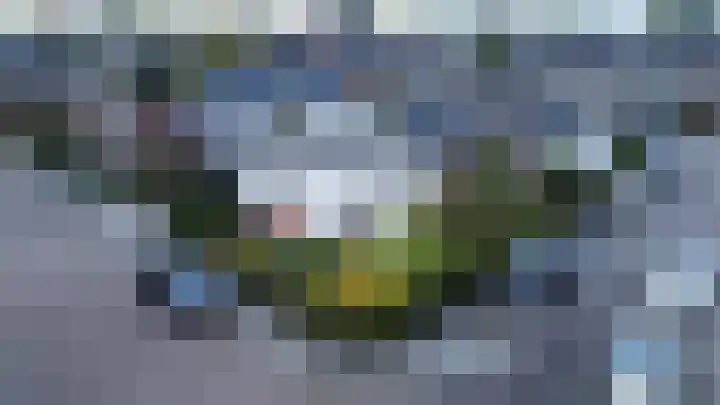 Rozelaar 16 Geldrop foto 3