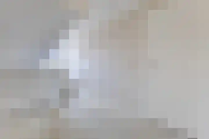 Rozelaar 16 Geldrop thumbnail 30