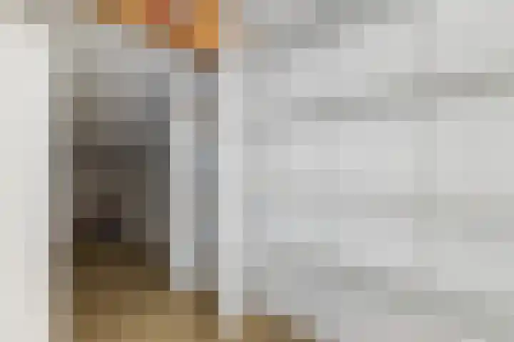 Rozelaar 16 Geldrop thumbnail 31