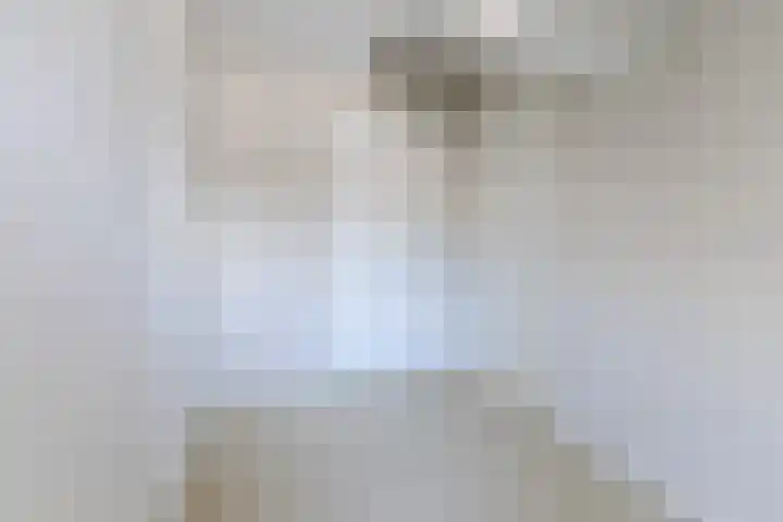Rozelaar 16 Geldrop thumbnail 32