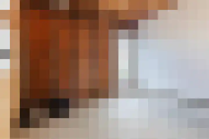 Rozelaar 16 Geldrop thumbnail 40