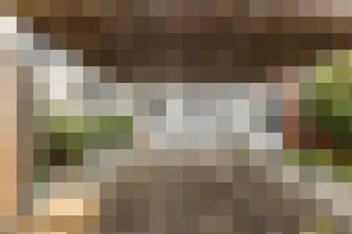 Rozelaar 16 Geldrop thumbnail 43