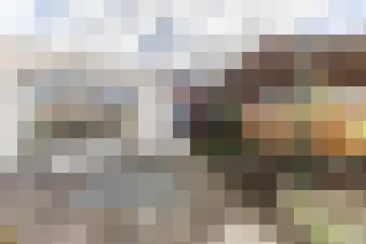 Rozelaar 16 Geldrop thumbnail 44