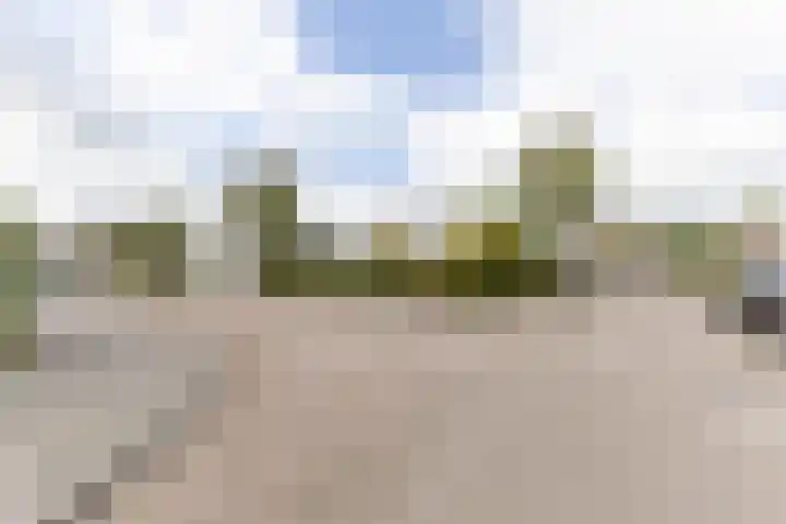Rozelaar 16 Geldrop thumbnail 45