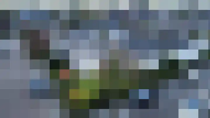 Rozelaar 16 Geldrop thumbnail 47