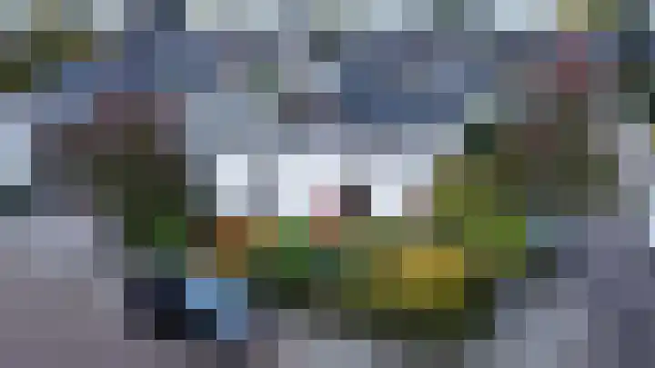 Rozelaar 16 Geldrop thumbnail 48