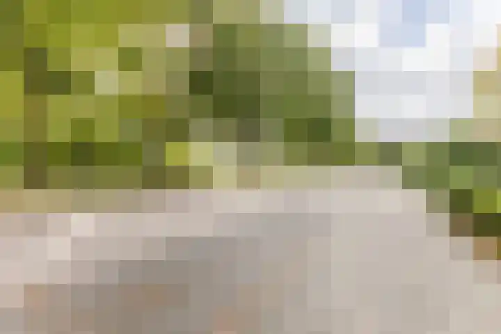 Rozelaar 16 Geldrop thumbnail 50