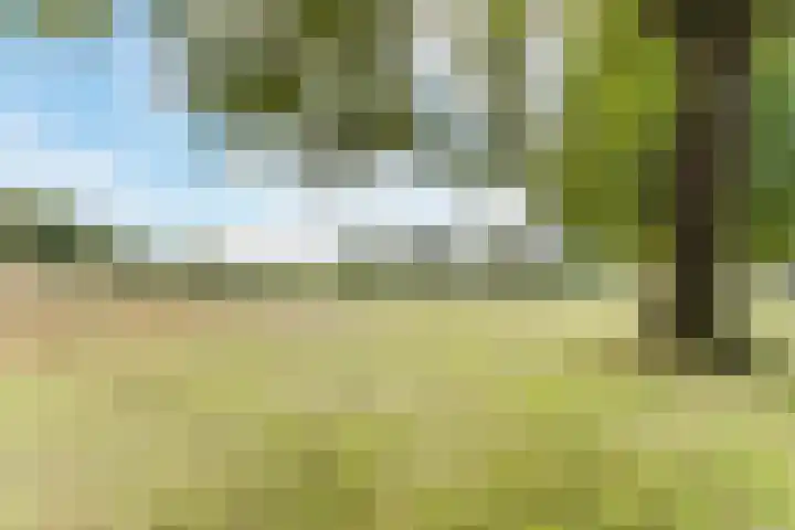 Rozelaar 16 Geldrop thumbnail 51