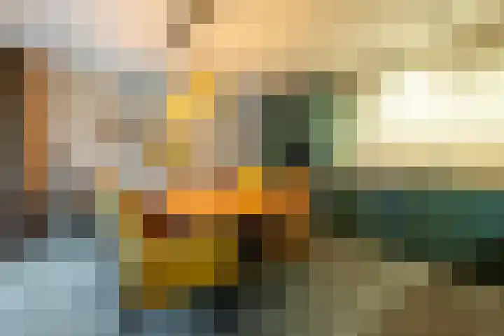 Rozemarijn 10 Vroomshoop thumbnail 11