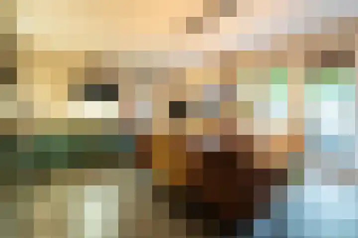 Rozemarijn 10 Vroomshoop thumbnail 14