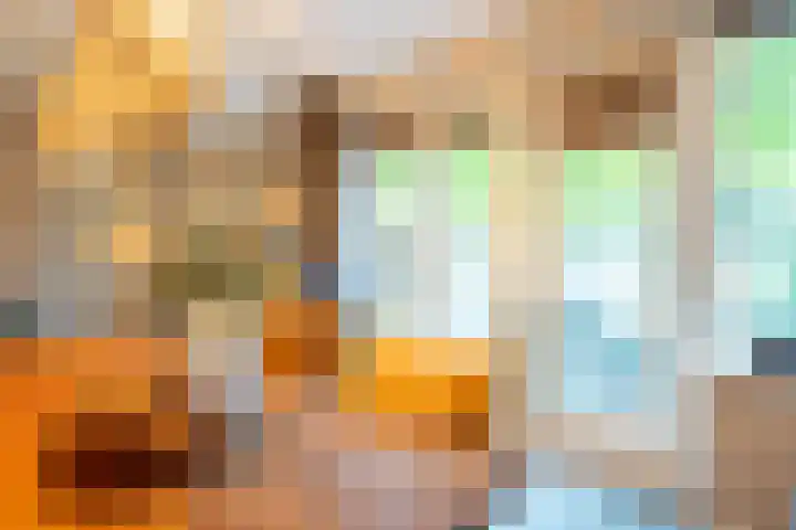 Rozemarijn 10 Vroomshoop thumbnail 15
