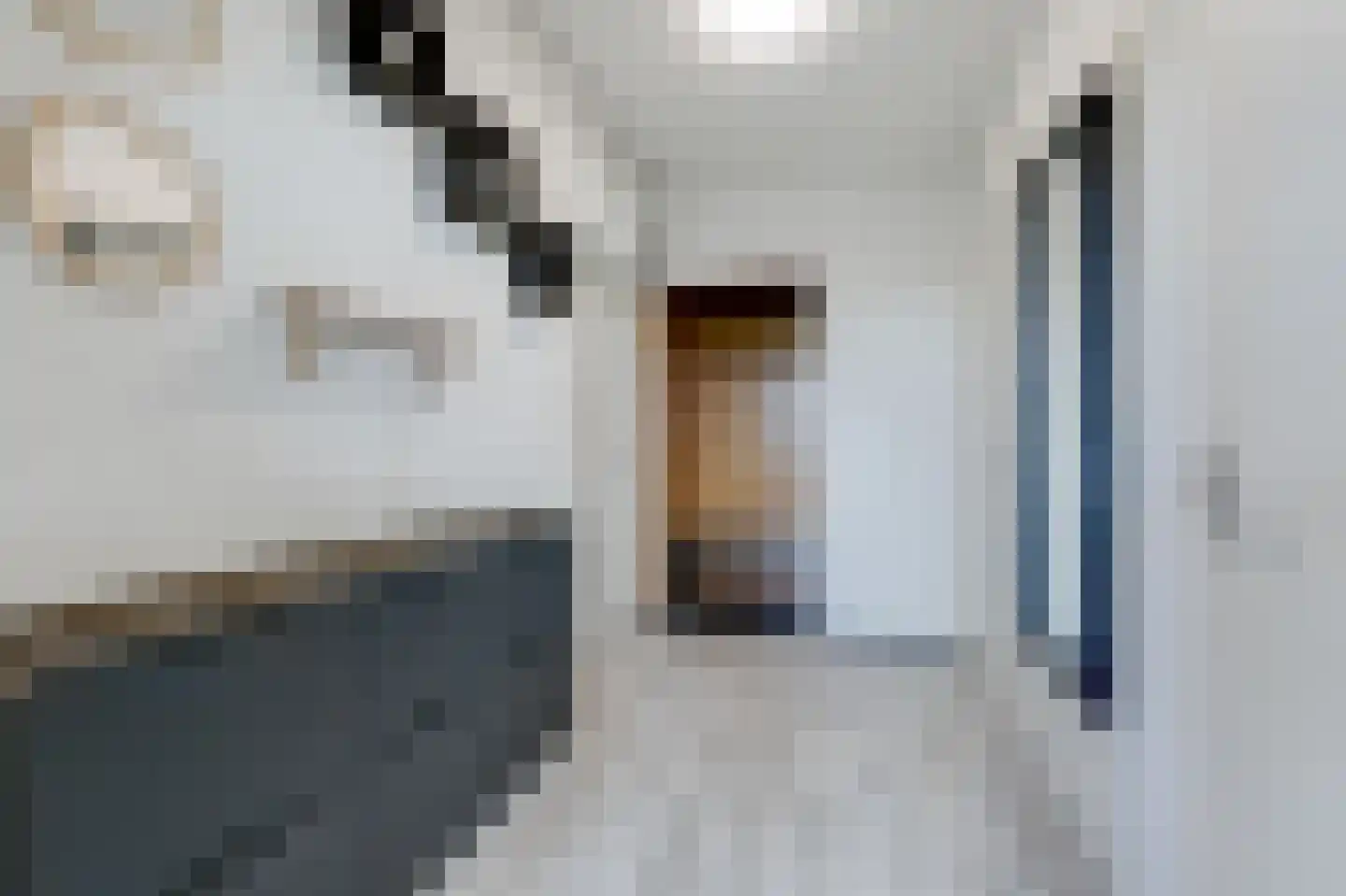 Rozemarijn 10 Vroomshoop thumbnail 18