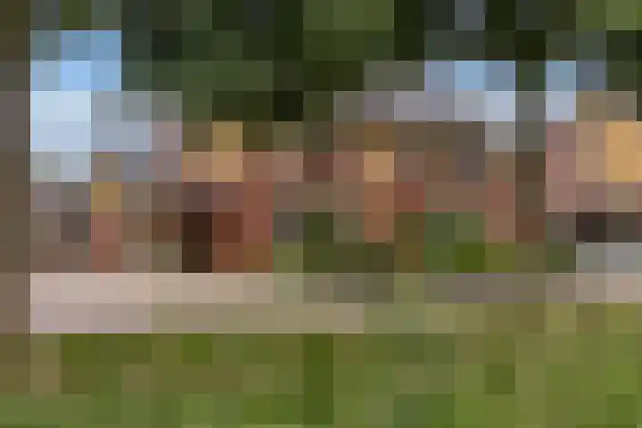 Rozemarijn 10 Vroomshoop thumbnail 20