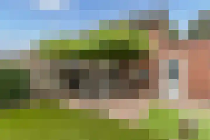 Rozemarijn 10 Vroomshoop thumbnail 23