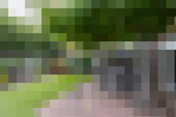 Rozemarijn 10 Vroomshoop thumbnail 24