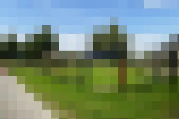Rozemarijn 10 Vroomshoop thumbnail 29