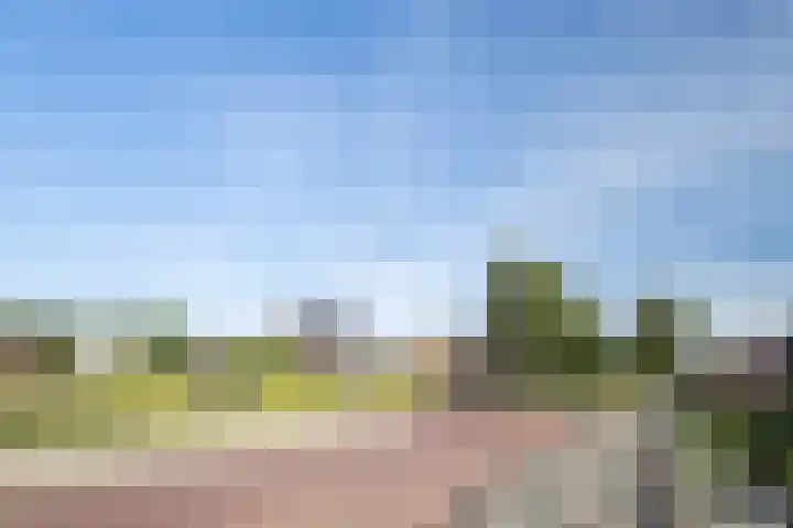 Rozemarijn 10 Vroomshoop thumbnail 30