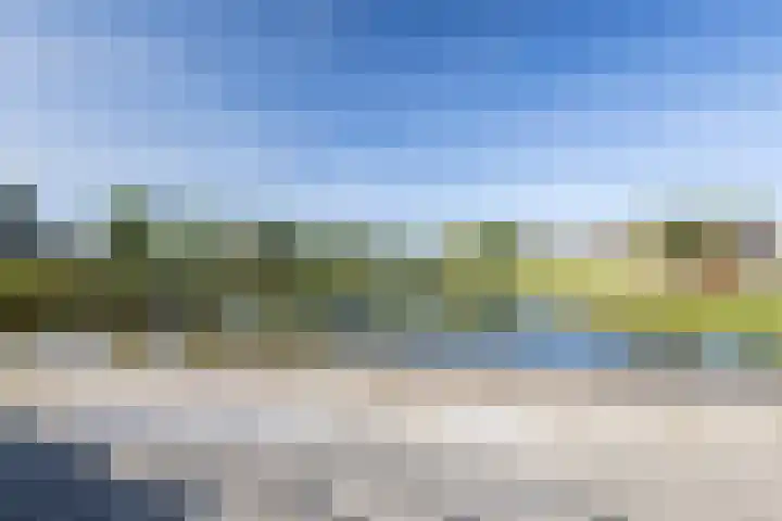 Rozemarijn 10 Vroomshoop thumbnail 31