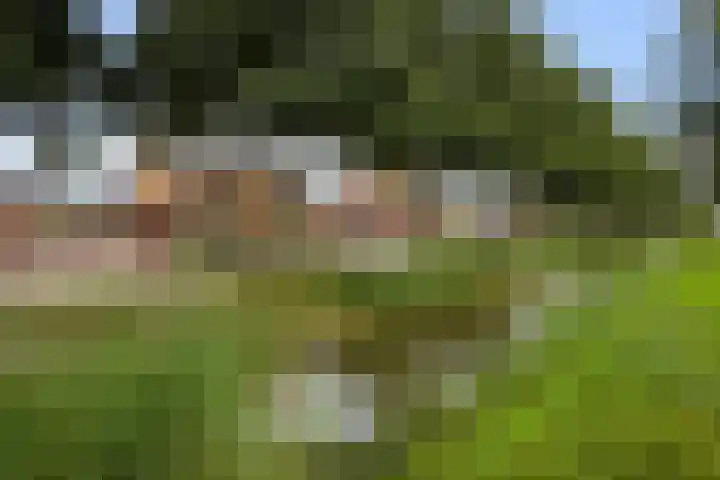 Rozemarijn 10 Vroomshoop thumbnail 33
