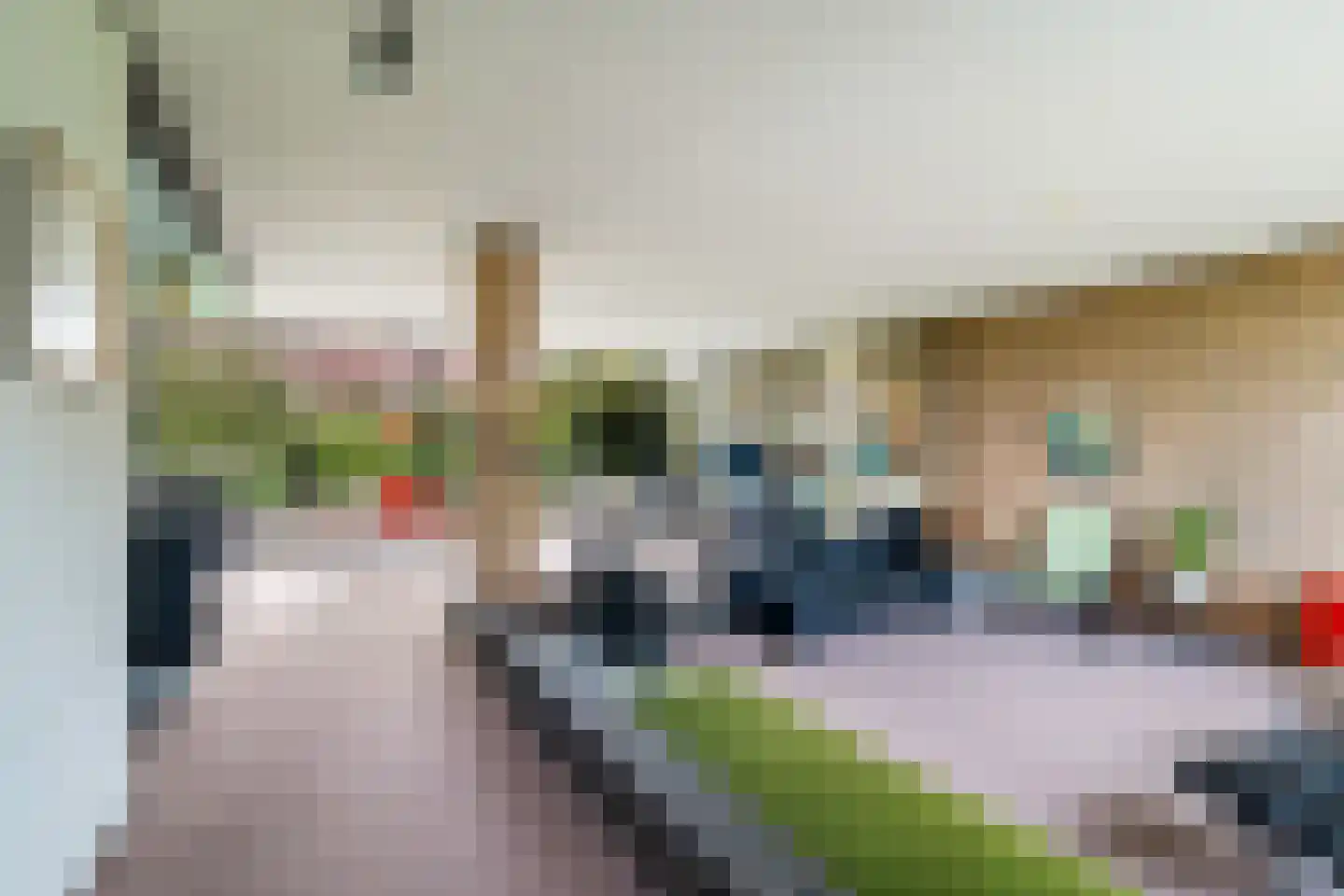 Rozemarijn 10 Vroomshoop thumbnail 35