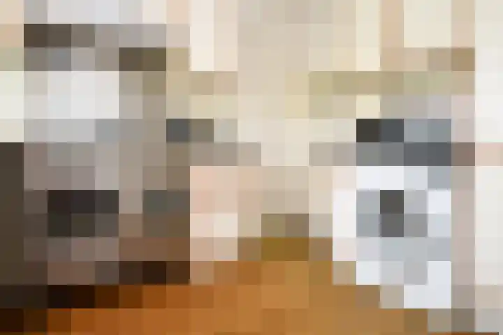 Rozemarijn 10 Vroomshoop thumbnail 4