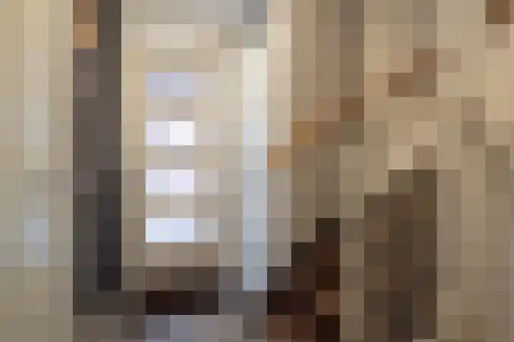 Rozemarijn 10 Vroomshoop thumbnail 4