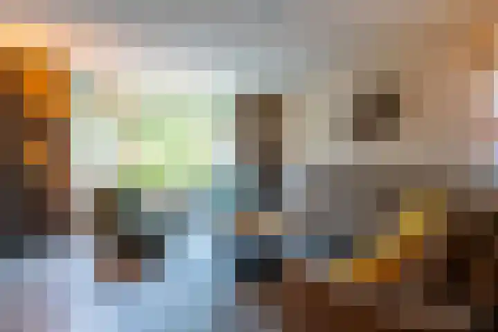 Rozemarijn 10 Vroomshoop thumbnail 6