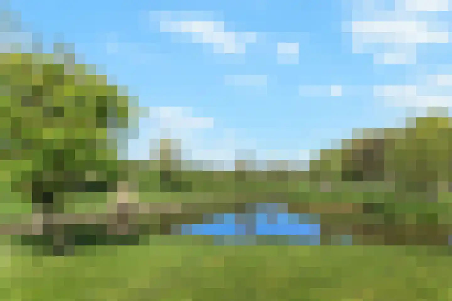 Rozemarijn 125 Wateringen thumbnail 60