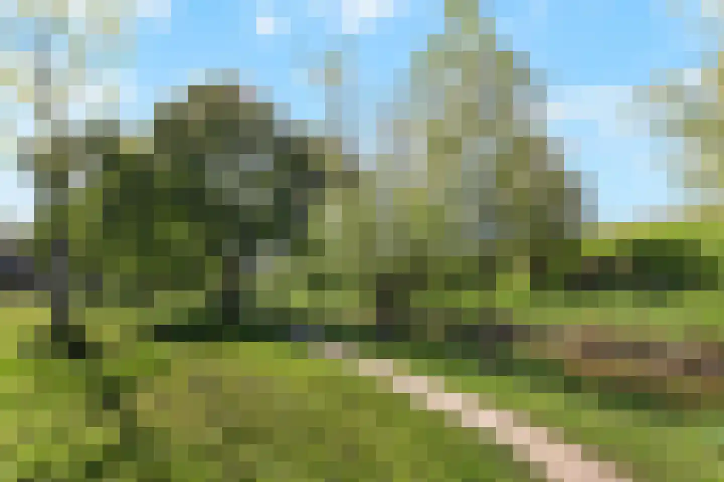 Rozemarijn 125 Wateringen thumbnail 61