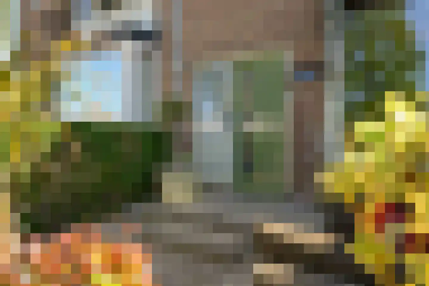 Rozemarijn 125 Wateringen thumbnail 8