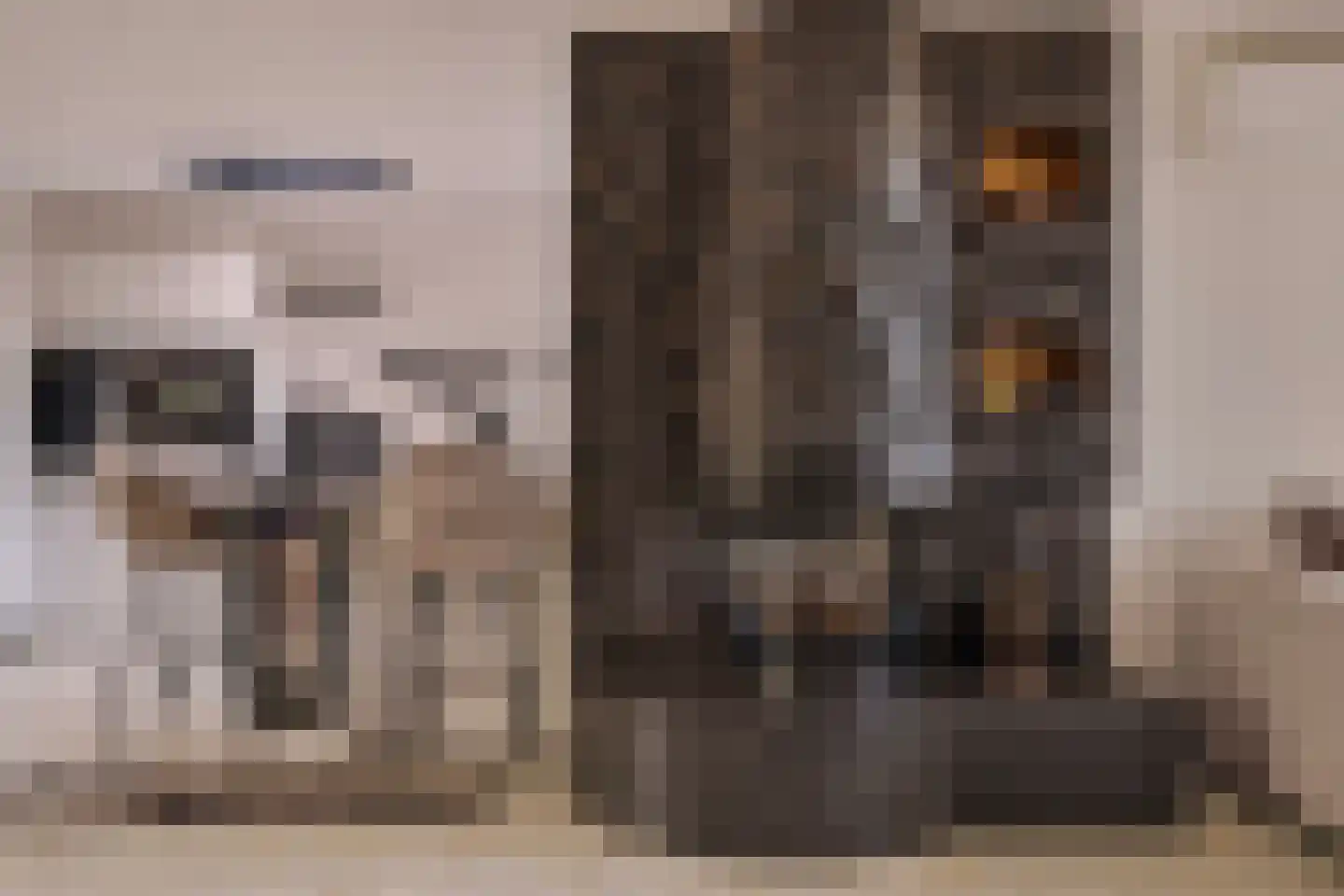 Rozemarijn 137 Wateringen thumbnail 13