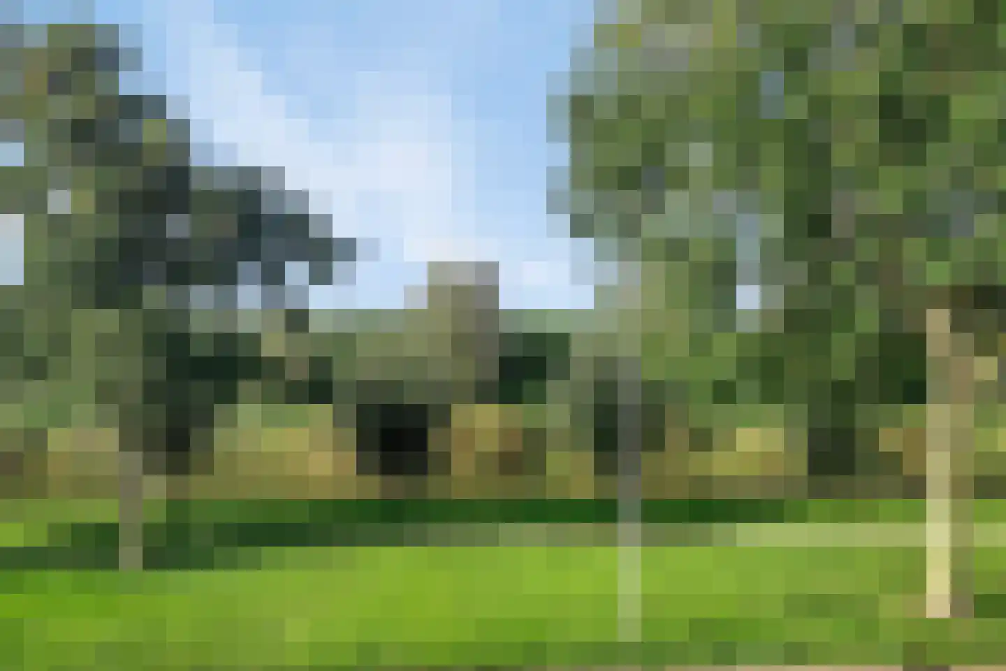 Rozemarijn 137 Wateringen thumbnail 33
