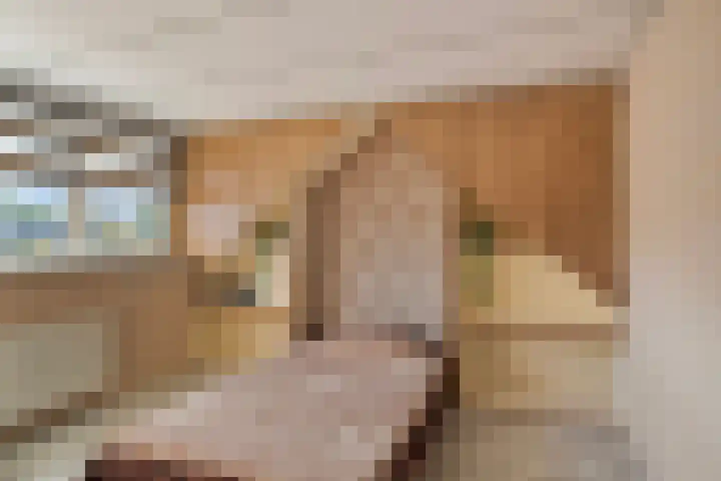 Rozemarijn 137 Wateringen thumbnail 37