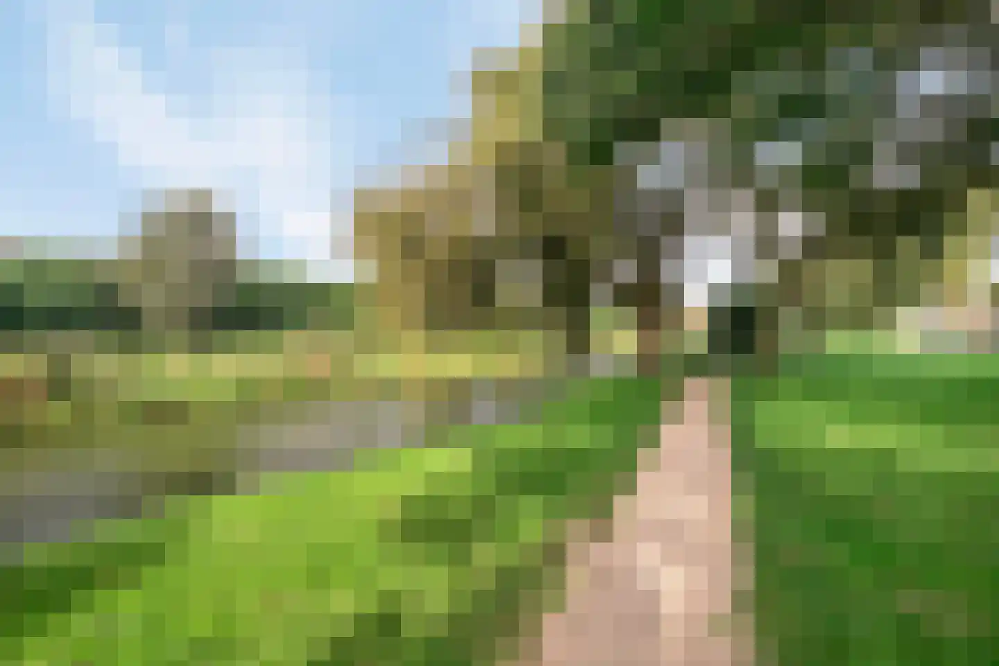 Rozemarijn 137 Wateringen thumbnail 43